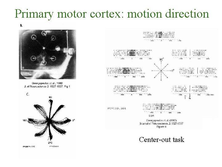 Primary motor cortex: motion direction Center-out task 