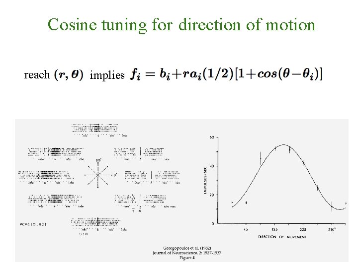 Cosine tuning for direction of motion reach implies 