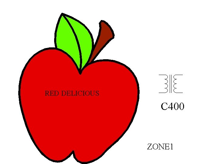 RED DELICIOUS C 400 ZONE 1 