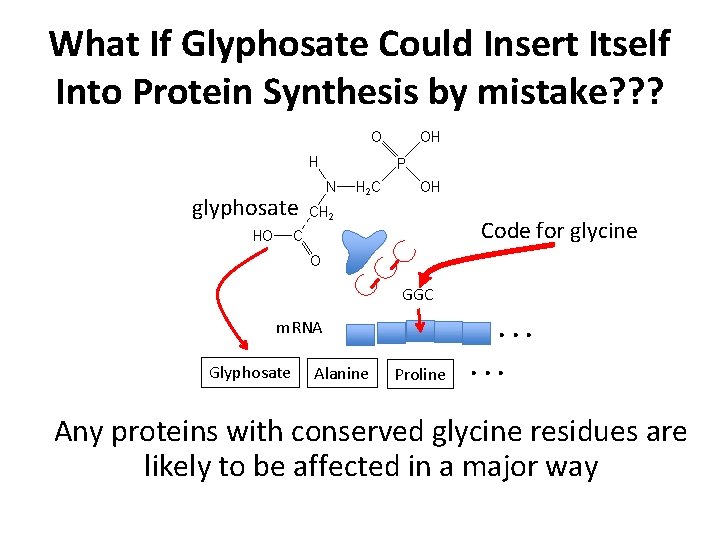 What If Glyphosate Could Insert Itself Into Protein Synthesis by mistake? ? ? glyphosate What If Glyphosate Could Insert Itself Into Protein Synthesis by mistake? ? ? glyphosate