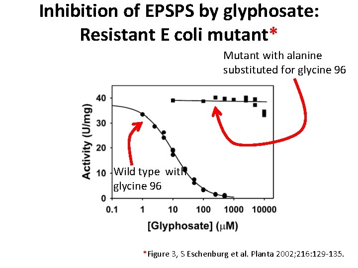 Inhibition of EPSPS by glyphosate: Resistant E coli mutant* Mutant with alanine substituted for Inhibition of EPSPS by glyphosate: Resistant E coli mutant* Mutant with alanine substituted for