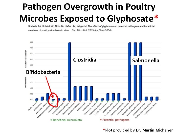 Pathogen Overgrowth in Poultry Microbes Exposed to Glyphosate* Clostridia Salmonella Bifidobacteria *Plot provided by Pathogen Overgrowth in Poultry Microbes Exposed to Glyphosate* Clostridia Salmonella Bifidobacteria *Plot provided by