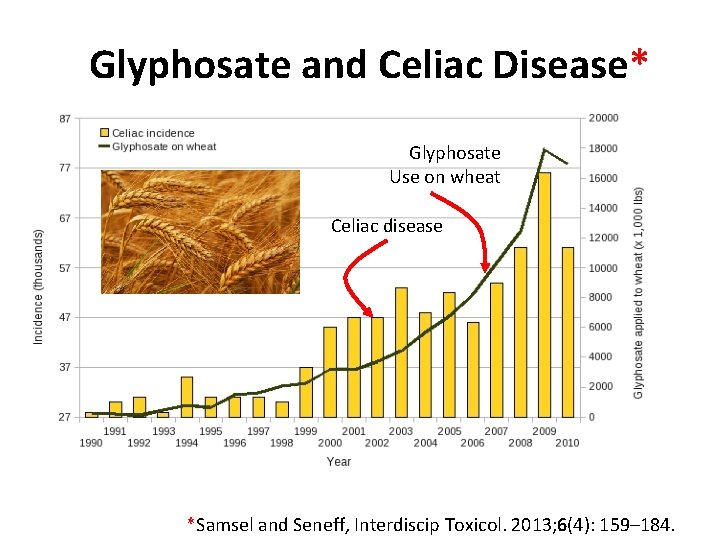 Glyphosate and Celiac Disease* Glyphosate Use on wheat Celiac disease *Samsel and Seneff, Interdiscip Glyphosate and Celiac Disease* Glyphosate Use on wheat Celiac disease *Samsel and Seneff, Interdiscip