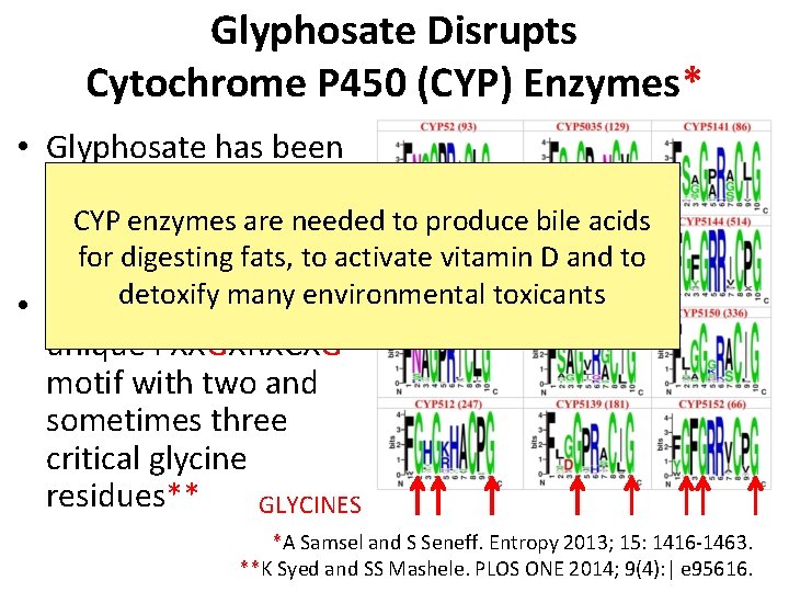 Glyphosate Disrupts Cytochrome P 450 (CYP) Enzymes* • Glyphosate has been shown to severely Glyphosate Disrupts Cytochrome P 450 (CYP) Enzymes* • Glyphosate has been shown to severely