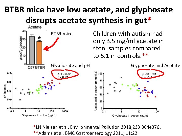 BTBR mice have low acetate, and glyphosate disrupts acetate synthesis in gut* BTBR mice BTBR mice have low acetate, and glyphosate disrupts acetate synthesis in gut* BTBR mice