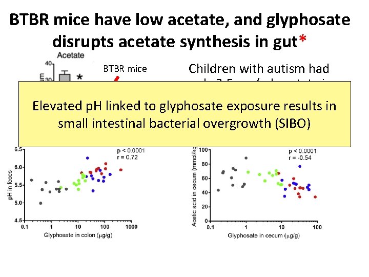 BTBR mice have low acetate, and glyphosate disrupts acetate synthesis in gut* Children with BTBR mice have low acetate, and glyphosate disrupts acetate synthesis in gut* Children with