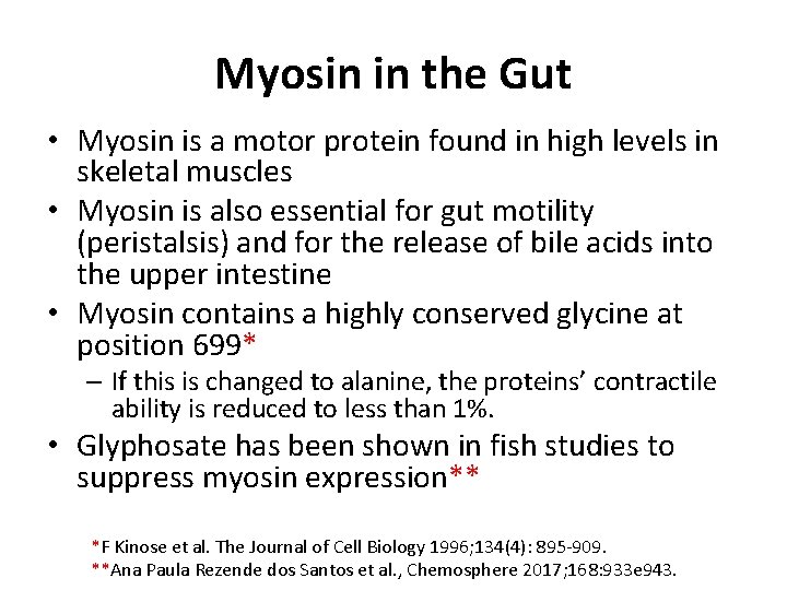Myosin in the Gut • Myosin is a motor protein found in high levels Myosin in the Gut • Myosin is a motor protein found in high levels