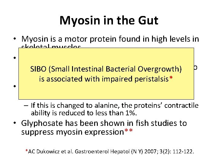 Myosin in the Gut • Myosin is a motor protein found in high levels Myosin in the Gut • Myosin is a motor protein found in high levels