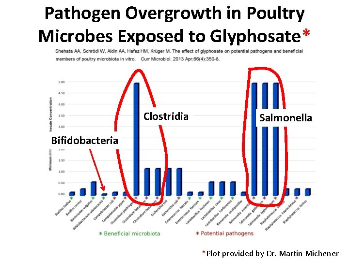 Pathogen Overgrowth in Poultry Microbes Exposed to Glyphosate* Clostridia Salmonella Bifidobacteria *Plot provided by Pathogen Overgrowth in Poultry Microbes Exposed to Glyphosate* Clostridia Salmonella Bifidobacteria *Plot provided by