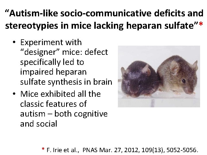 “Autism-like socio-communicative deficits and stereotypies in mice lacking heparan sulfate”* • Experiment with “designer” “Autism-like socio-communicative deficits and stereotypies in mice lacking heparan sulfate”* • Experiment with “designer”