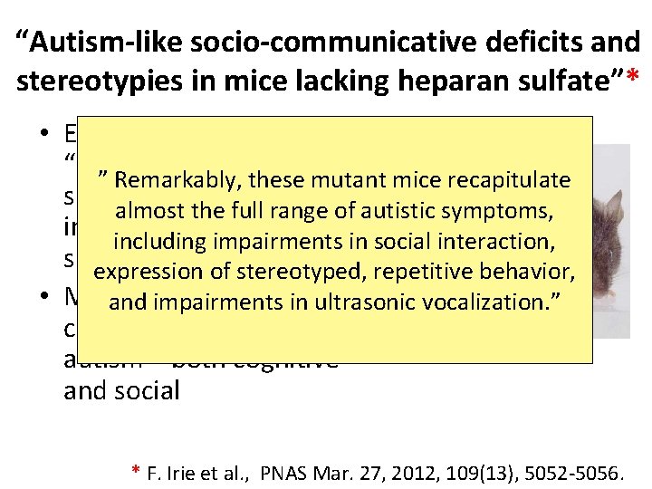 “Autism-like socio-communicative deficits and stereotypies in mice lacking heparan sulfate”* • Experiment with “designer” “Autism-like socio-communicative deficits and stereotypies in mice lacking heparan sulfate”* • Experiment with “designer”