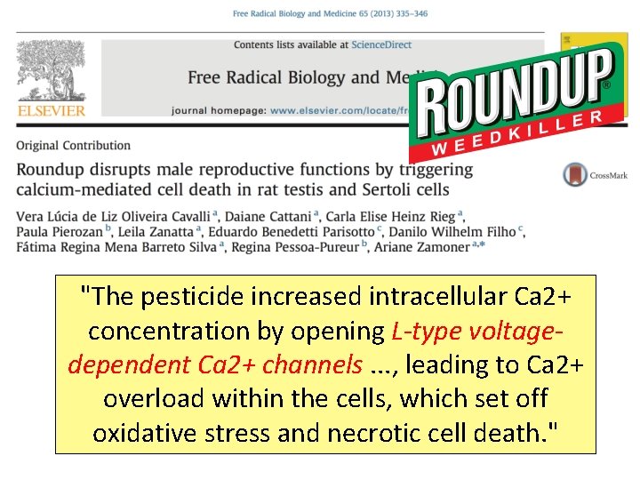 "The pesticide increased intracellular Ca 2+ concentration by opening L-type voltagedependent Ca 2+ channels. "The pesticide increased intracellular Ca 2+ concentration by opening L-type voltagedependent Ca 2+ channels.