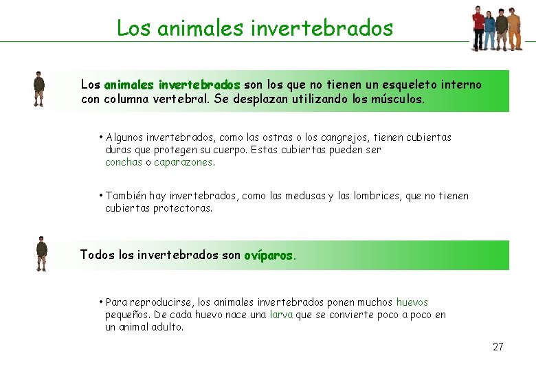 Los animales invertebrados son los que no tienen un esqueleto interno con columna vertebral.