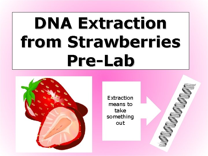 DNA Extraction from Strawberries Pre-Lab Extraction means to take something out 