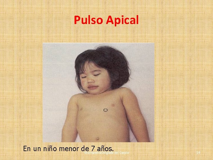 Pulso Apical En un niño menor de 7 años. Marnanella Delgado del Carpio 14 Pulso Apical En un niño menor de 7 años. Marnanella Delgado del Carpio 14