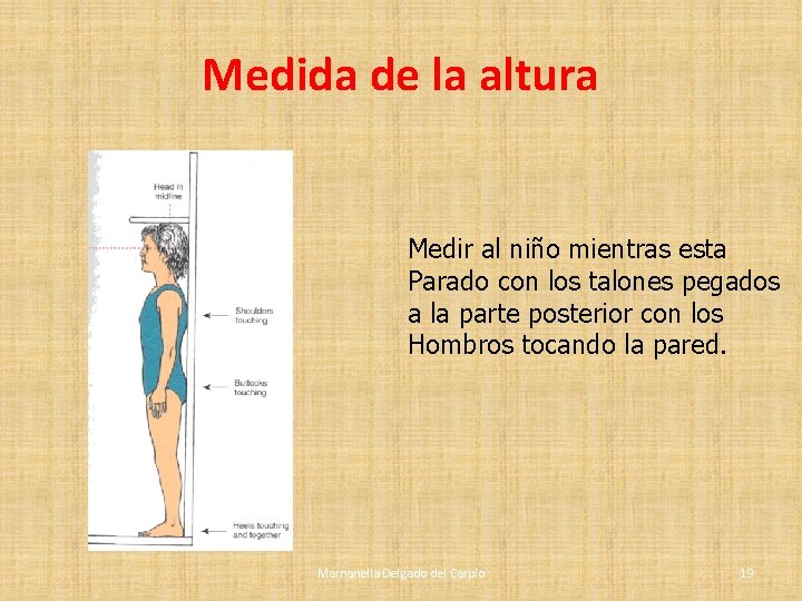 Medida de la altura Medir al niño mientras esta Parado con los talones pegados Medida de la altura Medir al niño mientras esta Parado con los talones pegados