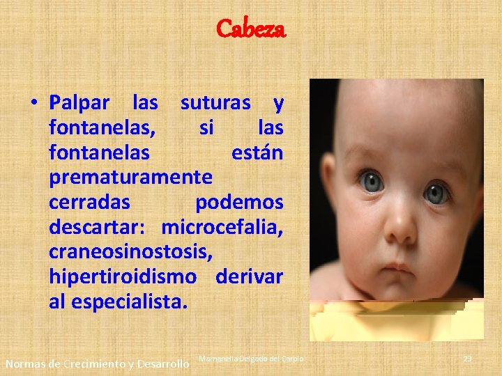 Cabeza • Palpar las suturas y fontanelas, si las fontanelas están prematuramente cerradas podemos Cabeza • Palpar las suturas y fontanelas, si las fontanelas están prematuramente cerradas podemos
