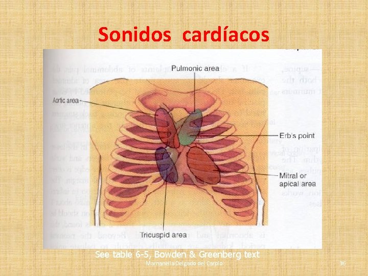 Sonidos cardíacos See table 6 -5, Bowden & Greenberg text Marnanella Delgado del Carpio Sonidos cardíacos See table 6 -5, Bowden & Greenberg text Marnanella Delgado del Carpio