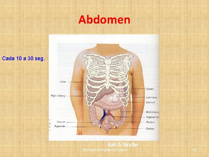 Abdomen Cada 10 a 30 seg. Ball & Bindler Marnanella Delgado del Carpio 42 Abdomen Cada 10 a 30 seg. Ball & Bindler Marnanella Delgado del Carpio 42