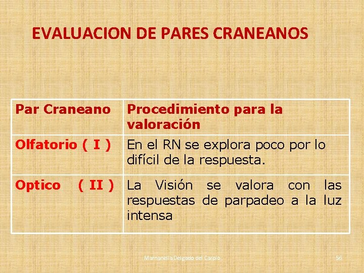 EVALUACION DE PARES CRANEANOS Par Craneano Procedimiento para la valoración Olfatorio ( I ) EVALUACION DE PARES CRANEANOS Par Craneano Procedimiento para la valoración Olfatorio ( I )