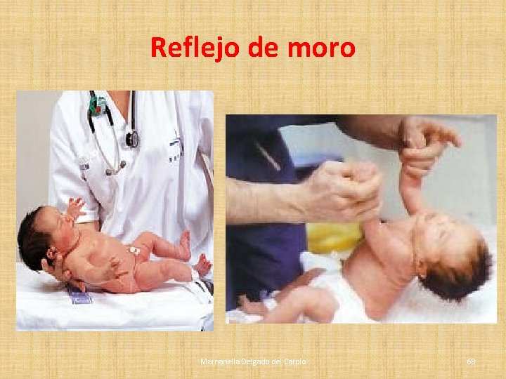 Reflejo de moro Marnanella Delgado del Carpio 68 Reflejo de moro Marnanella Delgado del Carpio 68