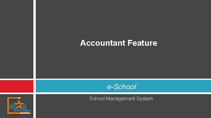 Accountant Feature e-School Management System 
