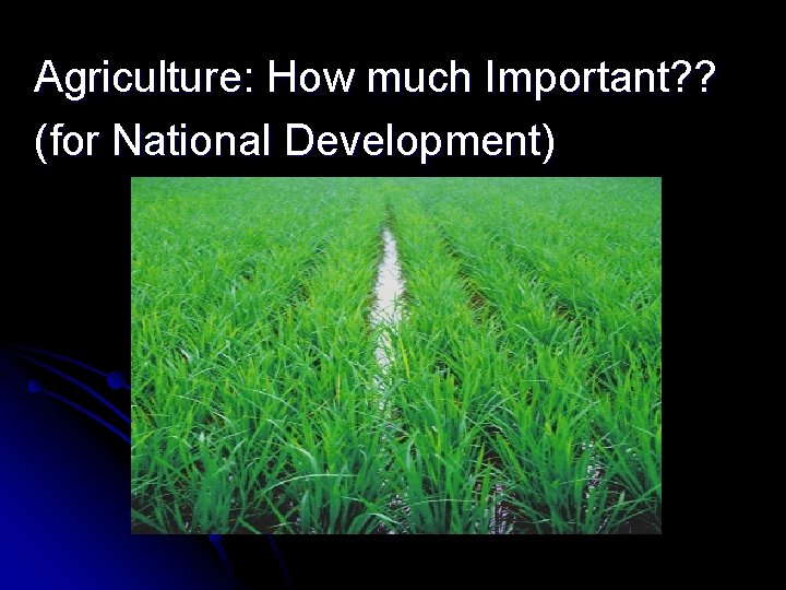 Agriculture: How much Important? ? (for National Development) 