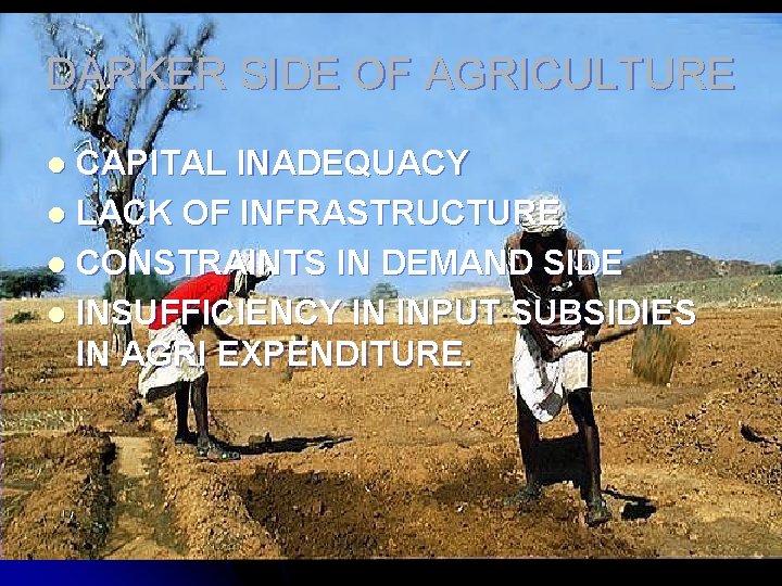 DARKER SIDE OF AGRICULTURE CAPITAL INADEQUACY l LACK OF INFRASTRUCTURE l CONSTRAINTS IN DEMAND