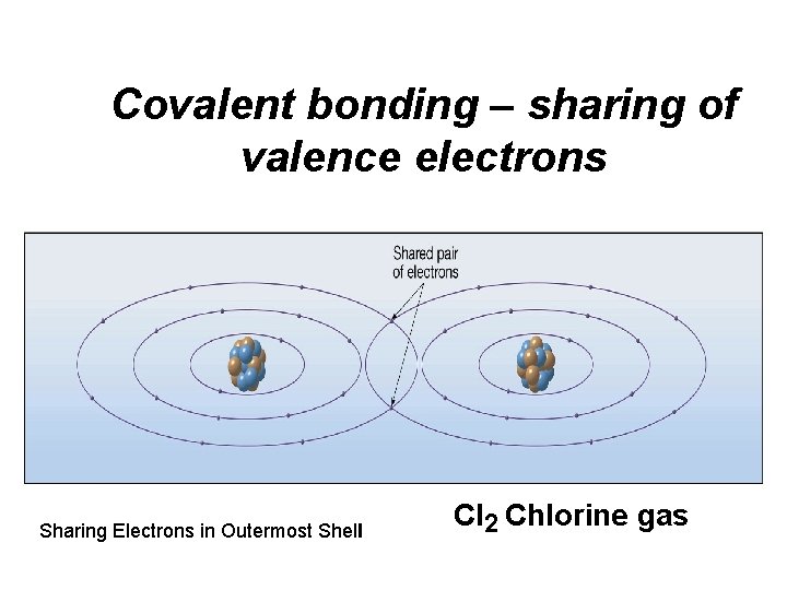 Covalent bonding – sharing of valence electrons Sharing Electrons in Outermost Shell Cl 2