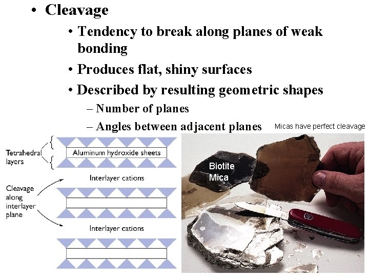  • Cleavage • Tendency to break along planes of weak bonding • Produces