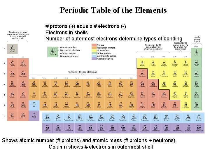 Periodic Table of the Elements # protons (+) equals # electrons (-) Electrons in