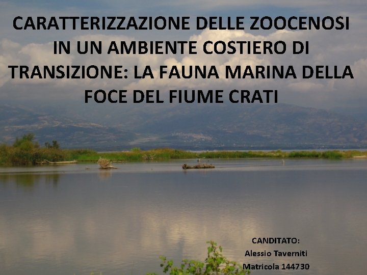 CARATTERIZZAZIONE DELLE ZOOCENOSI IN UN AMBIENTE COSTIERO DI TRANSIZIONE: LA FAUNA MARINA DELLA FOCE