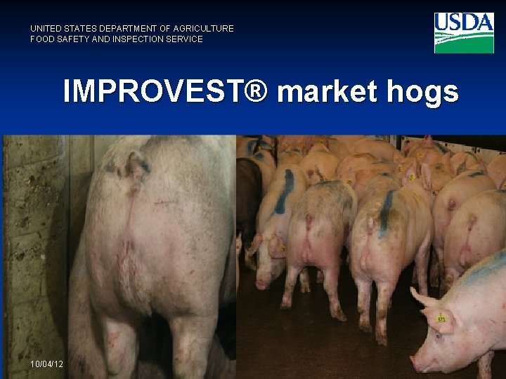 UNITED STATES DEPARTMENT OF AGRICULTURE FOOD SAFETY AND INSPECTION SERVICE IMPROVEST® market hogs 10/04/12