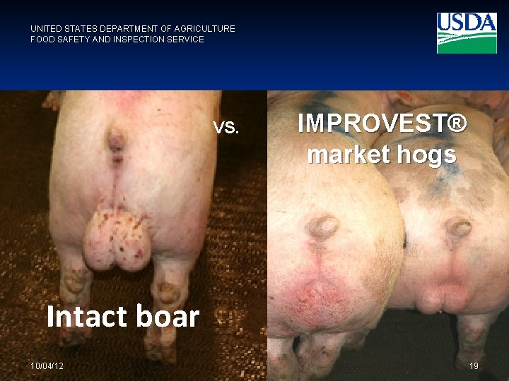 UNITED STATES DEPARTMENT OF AGRICULTURE FOOD SAFETY AND INSPECTION SERVICE VS. IMPROVEST® market hogs