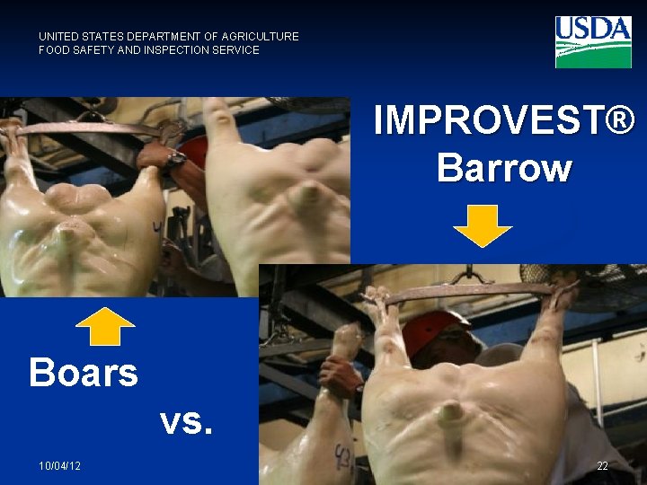 UNITED STATES DEPARTMENT OF AGRICULTURE FOOD SAFETY AND INSPECTION SERVICE IMPROVEST® Barrow Boars vs.