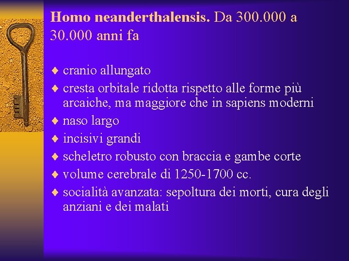 Homo neanderthalensis. Da 300. 000 a 30. 000 anni fa ¨ cranio allungato ¨ Homo neanderthalensis. Da 300. 000 a 30. 000 anni fa ¨ cranio allungato ¨