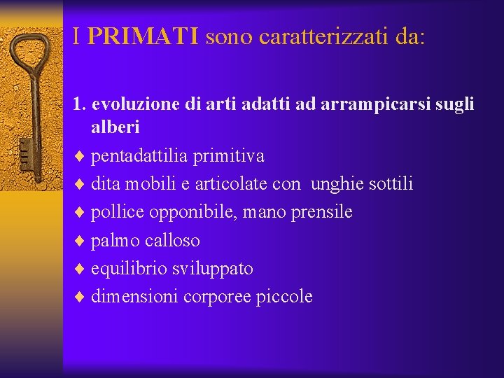 I PRIMATI sono caratterizzati da: 1. evoluzione di arti adatti ad arrampicarsi sugli alberi I PRIMATI sono caratterizzati da: 1. evoluzione di arti adatti ad arrampicarsi sugli alberi