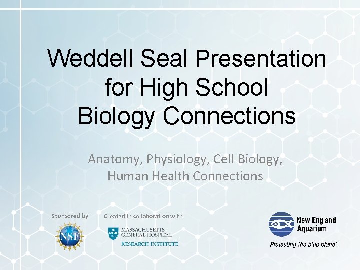 Weddell Seal Presentation for High School Biology Connections Anatomy, Physiology, Cell Biology, Human Health