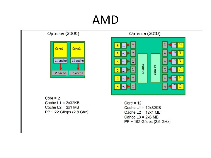 AMD 