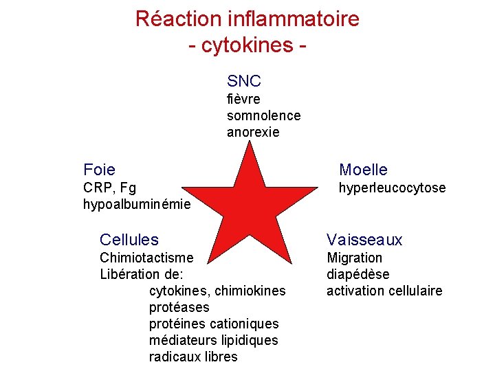 Réaction inflammatoire - cytokines SNC fièvre somnolence anorexie Foie Moelle CRP, Fg hypoalbuminémie hyperleucocytose