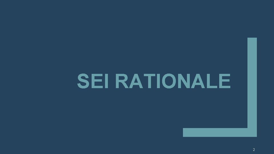 SEI RATIONALE 2 