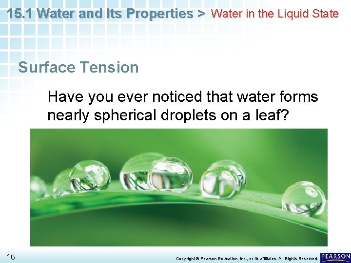 15. 1 Water and Its Properties > Water in the Liquid State Surface Tension 15. 1 Water and Its Properties > Water in the Liquid State Surface Tension