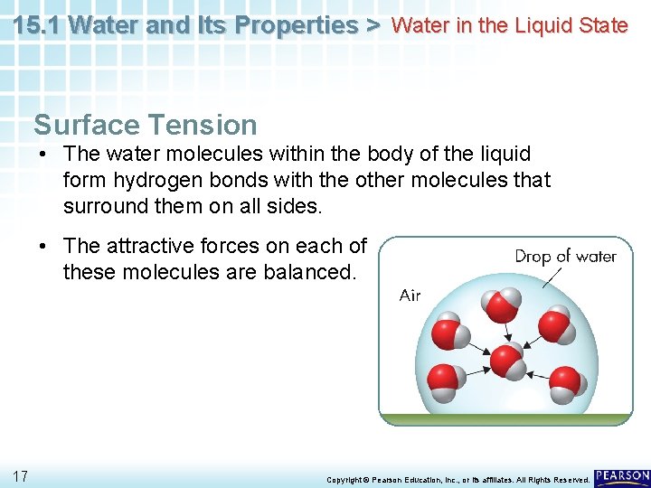 15. 1 Water and Its Properties > Water in the Liquid State Surface Tension 15. 1 Water and Its Properties > Water in the Liquid State Surface Tension