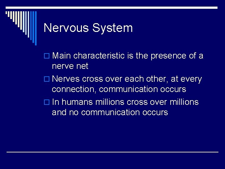Nervous System o Main characteristic is the presence of a nerve net o Nerves