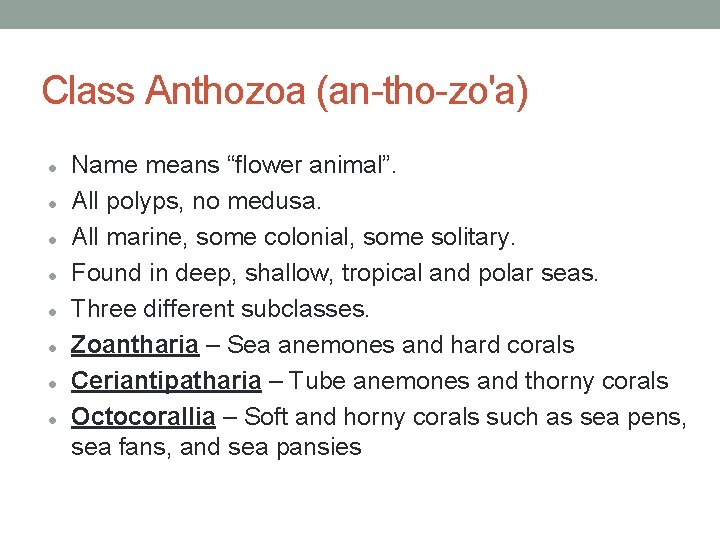 Class Anthozoa (an-tho-zo'a) Name means “flower animal”. All polyps, no medusa. All marine, some