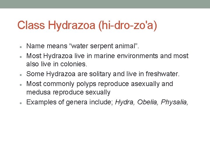 Class Hydrazoa (hi-dro-zo'a) Name means “water serpent animal”. Most Hydrazoa live in marine environments