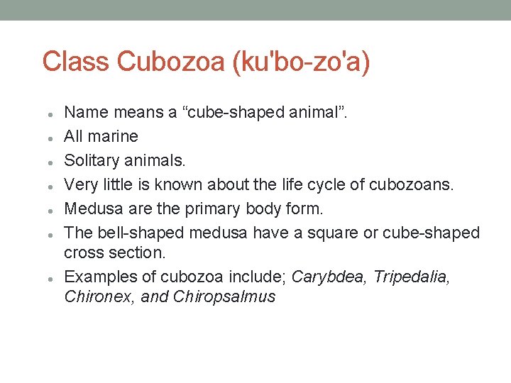 Class Cubozoa (ku'bo-zo'a) Name means a “cube-shaped animal”. All marine Solitary animals. Very little