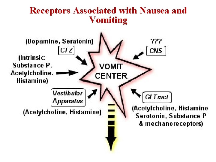 Receptors Associated with Nausea and Vomiting 