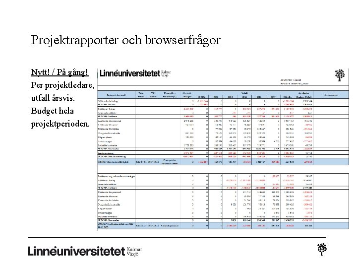Projektrapporter och browserfrågor Nytt! / På gång! Per projektledare, utfall årsvis. Budget hela projektperioden.