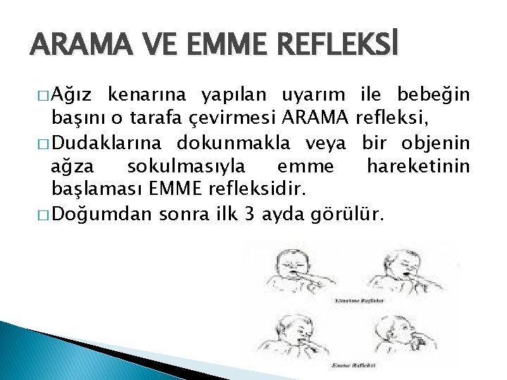 ARAMA VE EMME REFLEKSİ � Ağız kenarına yapılan uyarım ile bebeğin başını o tarafa